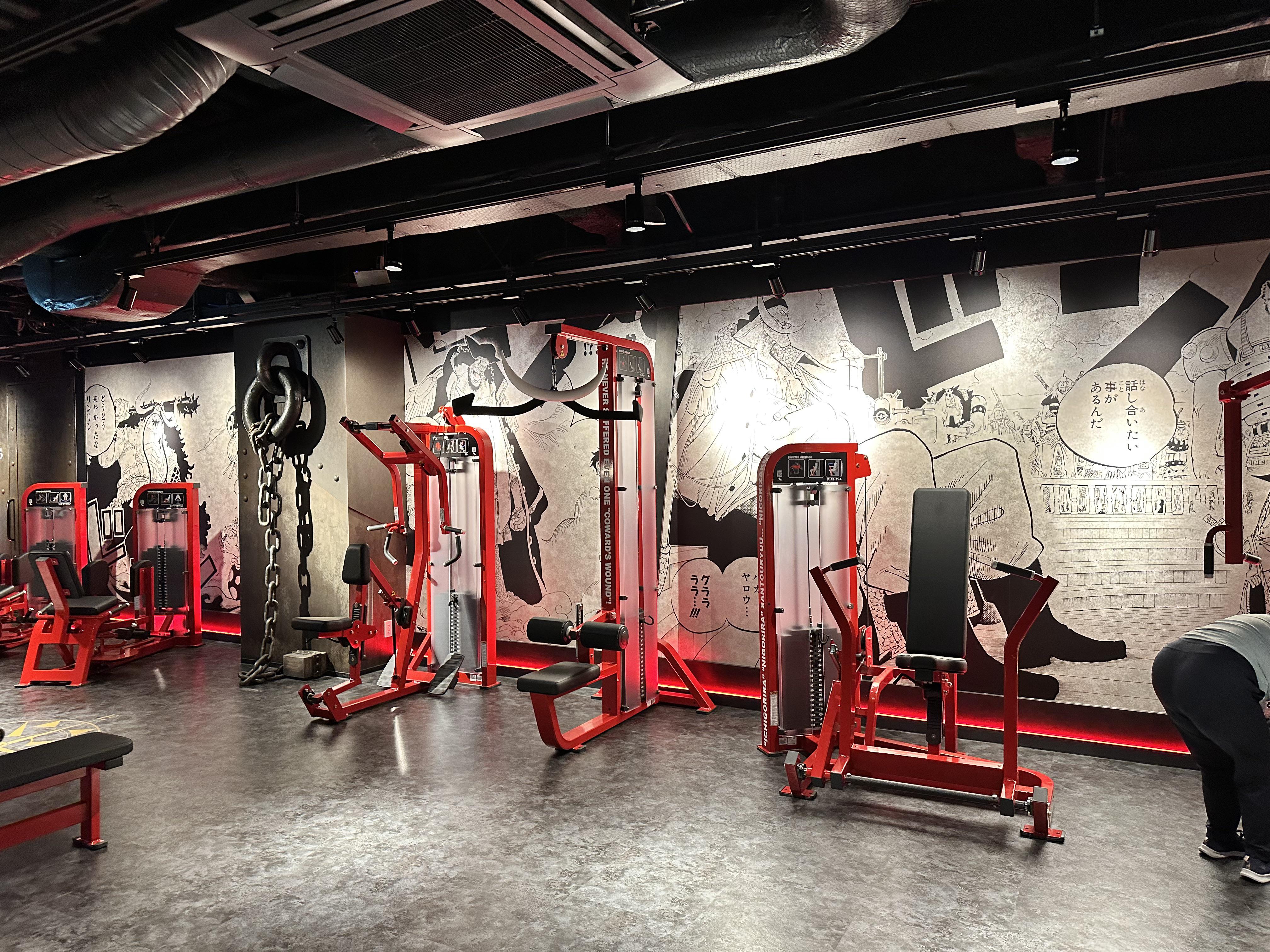 ONE PIECE FITNESS BragMen: the One Piece gym (Shibuya) — photo 8